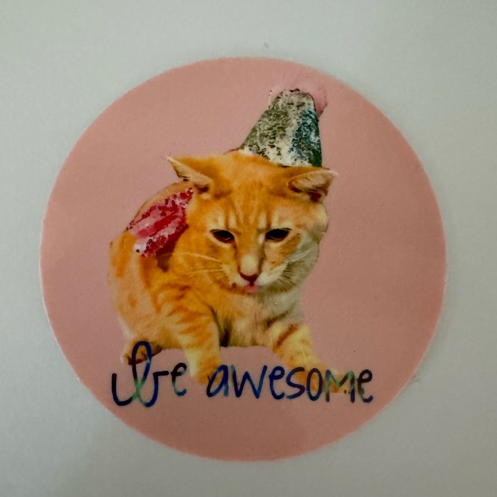 Cute Cat Sticker with Party Hat, Ginger Cat, Be Awesome, set of 3 same design